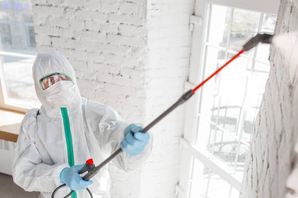 Best Dehumidification Services  in Glasgow, MT