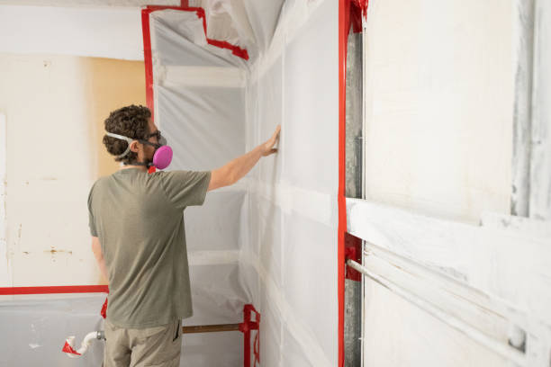 Best Post-Construction Mold Inspection  in Glasgow, MT