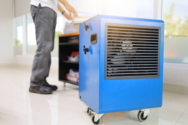 Best Mold-Related Health Consultation  in Glasgow, MT