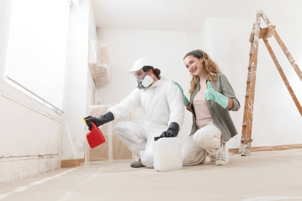 Glasgow, MT Mold Removal Company