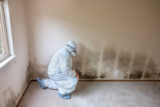 Best Air Quality Testing for Mold Spores  in Glasgow, MT